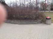 mur