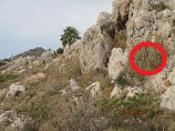 taki ogólny spoiler