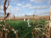 cmentarz choleryczny