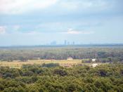 Widok na Warszawę z wieży w Dąbrowce