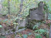 1-Zdjęcie ruin na zachęte (1)
