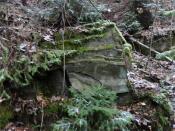 napis dalej widoczny