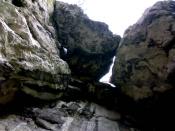 Naturalny dach nad skrzynką