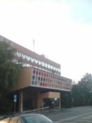 kolka