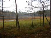 Jezioro Smolak Mały