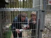 straz tylnia ze skarbem