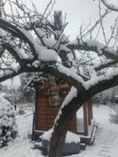 Kulki tłuszczowe w karmniku. Bez siatek :) 