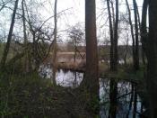 widok z miejsca ukrycia