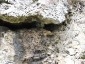 Szczelina a w niej cache