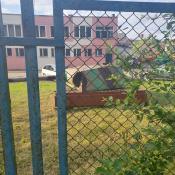 Resizer_175291484478111