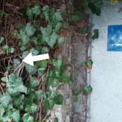 11.2025. Spoiler dla zdesperowanych