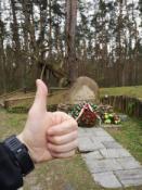 Sosna Powstańców