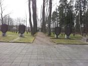 Główna alejka cmentarza