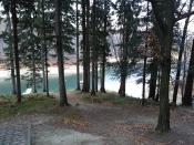 widok na fiord nelsona