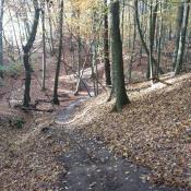 Resizer_17620323895323