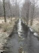 torowisko1