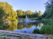 stawek (2)