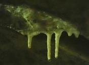 inne stalaktyty