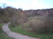 Dróżka prowadząca do skrzynki.