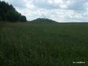 Widok wzgórze zamkowe z naszej bazy