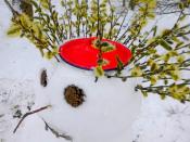 Bałwanek v. 13.0 ps. 