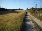 Ulica Kolonia - 2011 rok