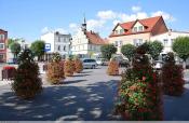 Rynek