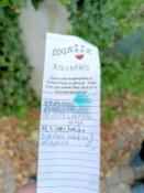 Logbook 2