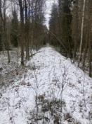 Torowisko w okolicach mostu