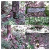 cmentarz kolonistów niemieckich