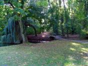 Za mostkiem skręć w lewo.