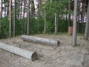 Patrzysz właśnie na miejsce ukrycia skrzyneczki - 30 kroczków od tablicy