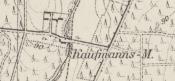 Kaufmanns-Mühle