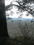 widok na przedpole