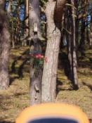 GPS i obiekt