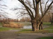 Park Szymańskiego