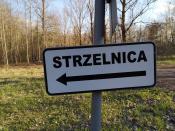 dotyk zła 2