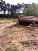 To zostało z ukrycia.