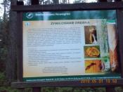 Tablica z keszem.
