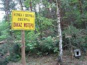 Ten słupek i ... słup