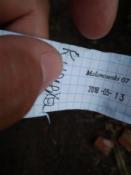 logbook