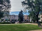 Rynek