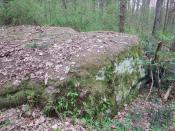 wychodnia skalna