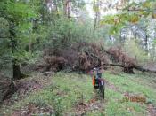 nieudana próba przebicia się przez las od Baszewic