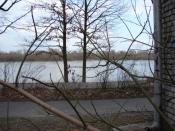 Wisła, koniec marca / Vistula river, end of March