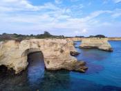 IMG_20251021_095450412_AE