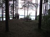 A tak wyglada widok od strony skrzyneczki - a dokładnie 4 kroki od niej