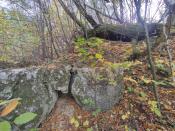 IMG_20221016_133712
