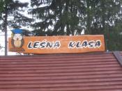 Leśna klasa