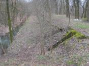 Na pierwszym planie wejście do miejsca ukrycia skrzynki.